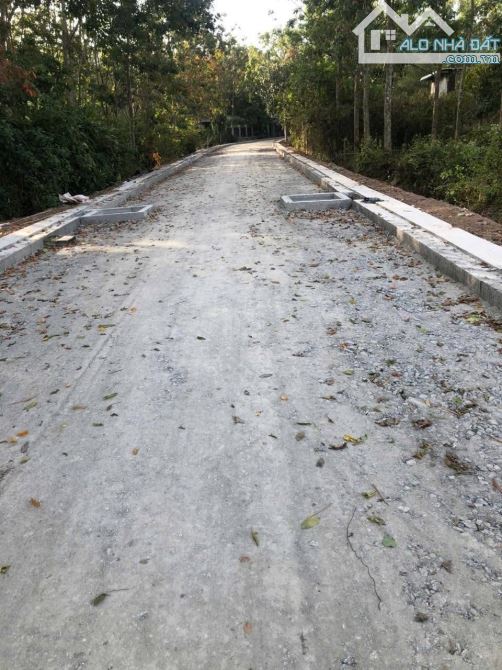 Bán đất mặt tiền đường nhựa 6m thông 2/ đường Trung Lập xã Phú Mỹ Hưng 1000m2 200m thổ - 2