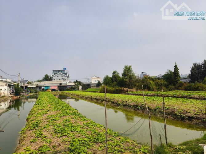 Kẹt Ngân Hàng  Cần Bán Đất Bình Chánh ,Xã Tân Qúy Tây Gía 4,67 tỷ rộng 1700m2, Sổ Hồng - 2
