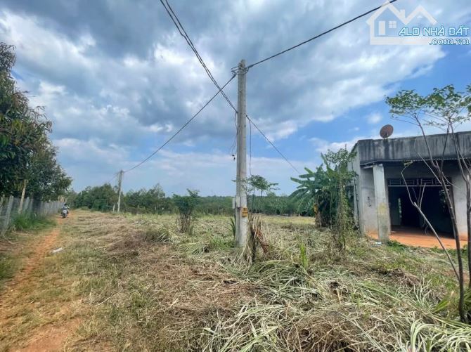 BÁN 3000M2 ĐẤT QUẢNG THÀNH CHÂU ĐỨC, BÀ RỊA VŨNG TÀU, GIÁ CHỈ 800TR/S ĐƯỜNG NHỰA THÔNG 6M - 2
