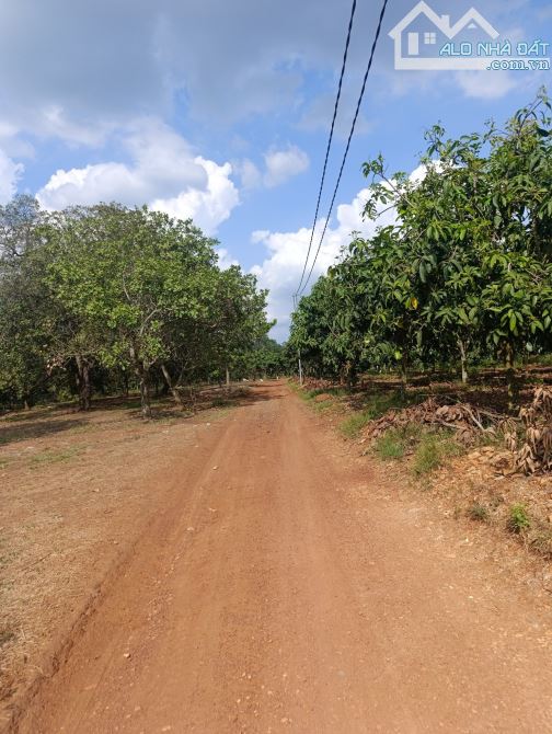 BÁN GẤP ĐẤT VIEW HỒ TRỊ AN 14997M2 CÓ 150M MẶT TIỀN ĐƯỜNG SIÊU HỜI CHỈ 6 TỶ - 2