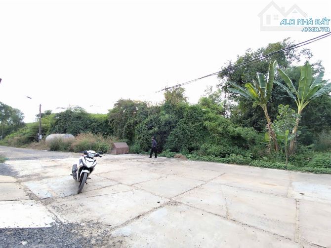 Bán đất 1.432m2_SHR_qh Thổ cư gần trường học Lê Đình Chinh Hố Nai 3. - 2