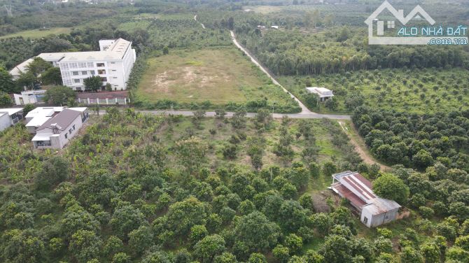 HÀNG HÓT BÁN GẤP FARM TUYỆT ĐẸP 21,705M2 QUI HOẠCH 4000M2 ĐẤT Ở CÓ 250M MẶT SUỐI CHỈ 5TỶ5 - 2