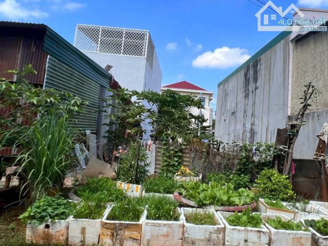 Đất To P.Tân Lợi (6.5x16.5m) Hẻm Nhựa 06 Hà Huy Tập - Ngay Gần Ngã Tư Ymoan - 2