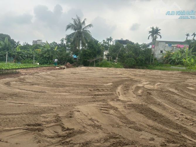 Bán đất Chương Dương – Thường Tín – Hà Nội, ô tô vào đất, giá chỉ 28 triệu/m² - 2