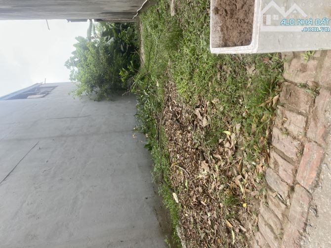 Bán 73m2 đất Đại Áng - Thanh Trì, ô tô tải vào đất, 20m ra mặt đường trục chính - 2