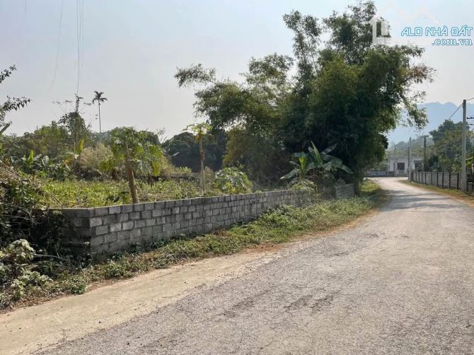 Cần bán lô 1122m/200m TC tại Liên Sơn - Lương sơn bám trục đường aphan gần hồ - 2