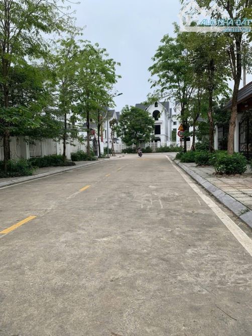 CẦN BÁN BIỆT THỰ THÀNH THÁI GẦN CÔNG VIÊN CẦU GIẤY, 300M2 MT 16M ĐẸP NHẤT KHU - 2