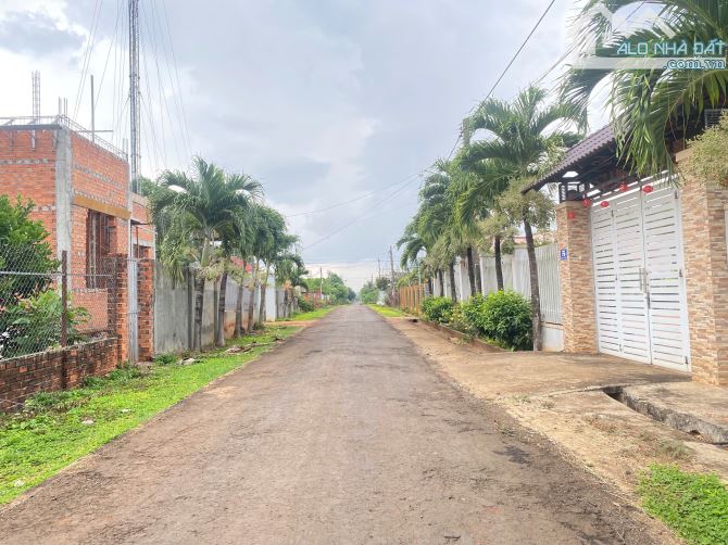 Bán lô đất xã Hoà Xuân, Tp. Buôn Ma Thuột - 2