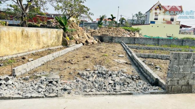 Bán đất Xuân La - Thanh Sơn - Kiến Thụy - Hải Phòng - 3