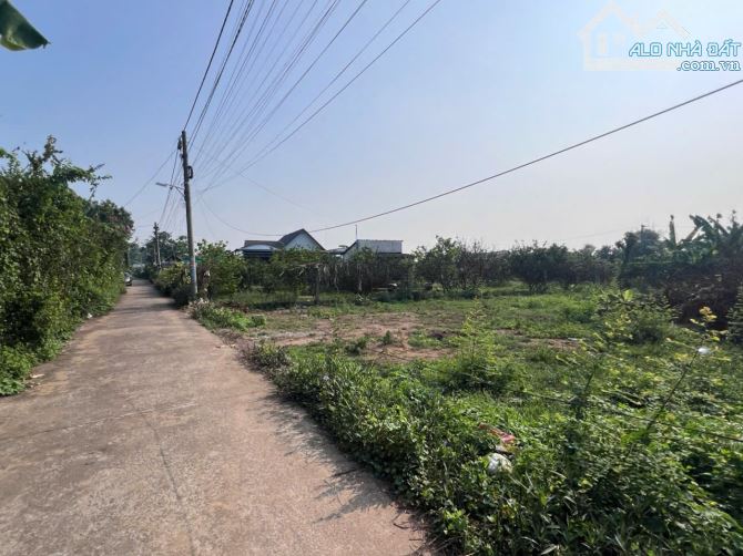 Đất sổ riêng sẵn thổ cư khu làng bưởi Tân Triều - 3