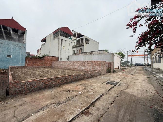 Cần bán gấp 100m2 ngay đường Lê Hữu Tựu - Nguyên Khê, đường thông 6m. - 3