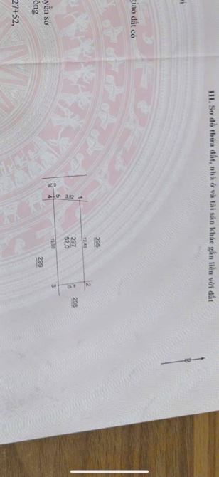 🔥🔥ĐƯỜNG THÔNG OTO  ĐỖ - ĐẤT VUÔNG-  THÔNG RA TRỤC CHÍNH KINH DOANH- CÁCH 50M RA KHU ĐẤU - 3