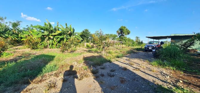 SIÊU PHẨM VƯỜN TRÁI CÂY, VIEW HỒ CÁ, VIEW SUỐI CHẢY RẤT ĐẸP tại Cẩm Mỹ, Đồng Nai - 3
