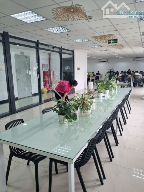 🌟 CHO THUÊ SÀN VĂN PHÒNG 350M² TÒA C1 THÀNH CÔNG – BA ĐÌNH 🌟 - 3