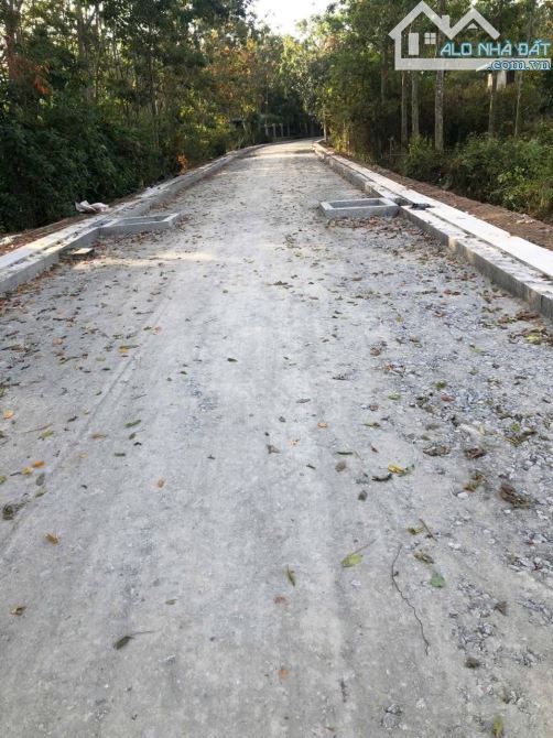 Bán đất mặt tiền đường nhựa 6m thông 2/ đường Trung Lập xã Phú Mỹ Hưng 1000m2 200m thổ - 3