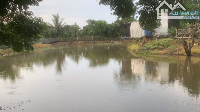 BÁN NHÀ VƯỜN AO CÁ GẦN NGAY KHU CÔNG NGHIỆP ĐỊNH QUÁN 1005M2 CHỈ 950 TRIỆU - 3