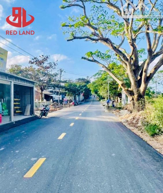 ĐẤT MẶT TIỀN TAM THAI TẶNG KHO ĐANG CHO THUÊ 72tr/năm - 3