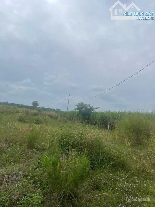 Bán quỹ đất qui hoạch SKC 35000m2, Tân An, Vĩnh Cửu, Đồng Nai, giá 42 tỷ. - 3