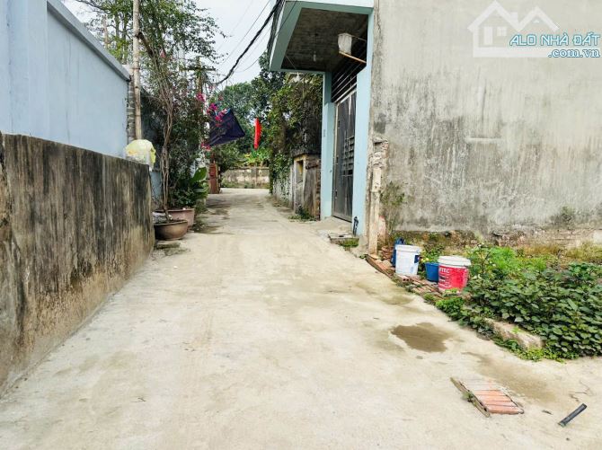 Bán gấp 69m2 đất Lực Canh, Xuân Canh sát Vin Cổ Loa ô tô đỗ cửa - 3