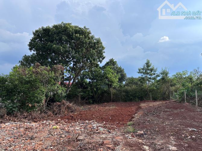 Đất hẻm Phùng Hưng QH 2 mặt tiền trước sau - 3