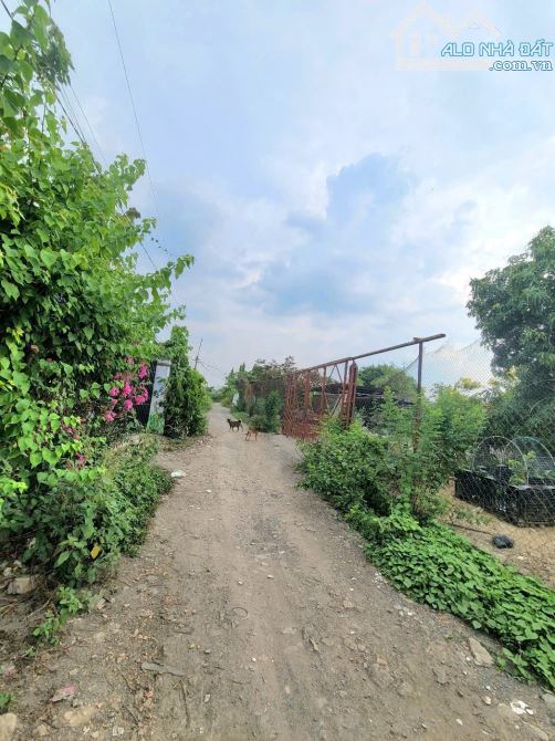 Bán đất 15.1x43m, hẻm ĐT.747A P.Thái Hòa Tp.Tân Uyên gần trường cấp 1 - 3