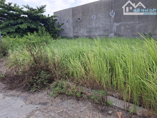Giảm 1.5tỷ! Đất 204m², Vuông, Đ.6m – Thạnh Xuân 52 Q12 - 3