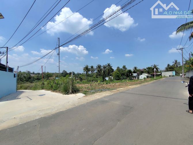 Bán lô đất 4 sào ( 4000m2 ) P An Hoà - Biên Hoà -Đồng Nai - 3