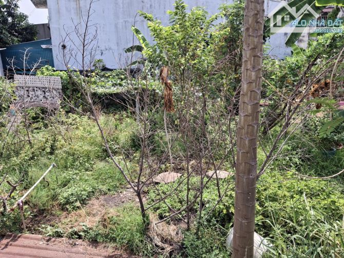 Giảm 250tr! Đất MT 255m², Đ.4m – Thạnh Xuân 23 Q12 ⭐ - 3