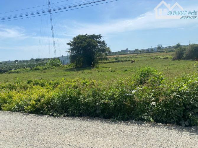 Bán 2,7 Sào Đất Lô 2 Đinh Công Tráng Tân Tiến Ngang 64x51 Gần Biển Giá 2,2 Tỷ - 4