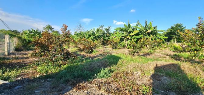 SIÊU PHẨM VƯỜN TRÁI CÂY, VIEW HỒ CÁ, VIEW SUỐI CHẢY RẤT ĐẸP tại Cẩm Mỹ, Đồng Nai - 4