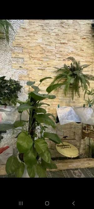 BÁN NHÀ PHÂN LÔ NGÕ 376 BƯỞI-BA ĐÌNH-Ô TÔ ĐỖ-DÂN XÂY-DT 65M 5T MT 4,5M- TRÊN 15TỶ - 4