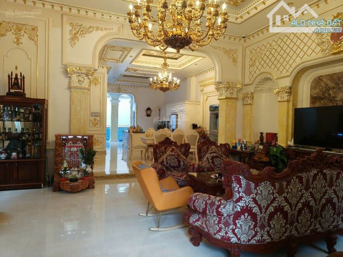 Siêu phẩm giá tốt! Bán biệt thự HXH 10m đường Âu Cơ,TÂN BÌNH- 9x21m- 2lầu, chỉ còn 25 tỷ - 4