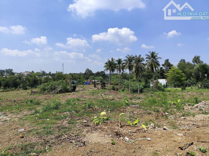 Bán lô đất 4 sào ( 4000m2 ) P An Hoà - Biên Hoà -Đồng Nai - 4