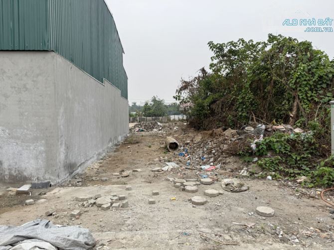 Bán gấp 90m2 lô đất đấu giá Làng Cam - Vị trí đắc địa, đường rộng, ngay chợ & nhà văn hóa - 4
