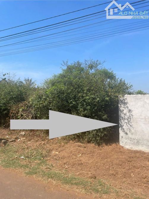 Bán đất mặt đường nhựa sau chợ eakao TP Buôn Ma Thuột 5x31 tc giá 1,25 tỷ - 5