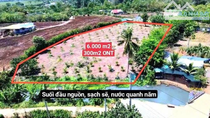 SIÊU PHẨM VƯỜN TRÁI CÂY, VIEW HỒ CÁ, VIEW SUỐI CHẢY RẤT ĐẸP tại Cẩm Mỹ, Đồng Nai - 5