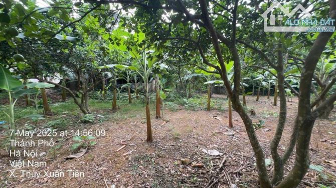 Bán 2789m2 đất thôn Xuân Sen - Chương Mỹ - Hà Nội - LÔ GÓC - MT 100M - 5,5tr/m2. - 5