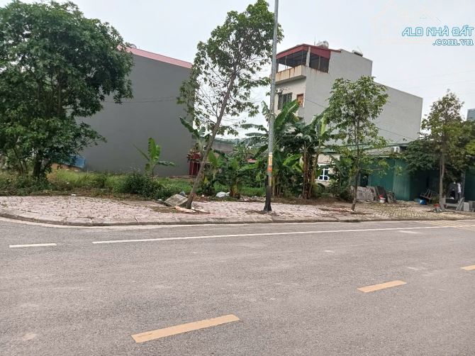 Lô góc, diện tích 122m2, đối diện cổng trường THCS Nguyễn Cao , Phượng Mao, Quế Võ. - 5