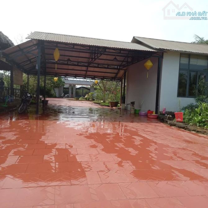 View xịn tọa lạc tại thôn 11_Hòa Phú_Buôn Ma Thuột _Đăk Lăk. Dt: 27,5×50 tc 400m²  $ 7 tỷ - 5