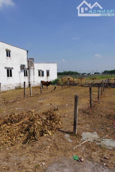 BÁN 173M2 ĐẤT MẶT TIỀN SẴN SỔ TẠI HÒA PHÚ-CỦ CHI - 5