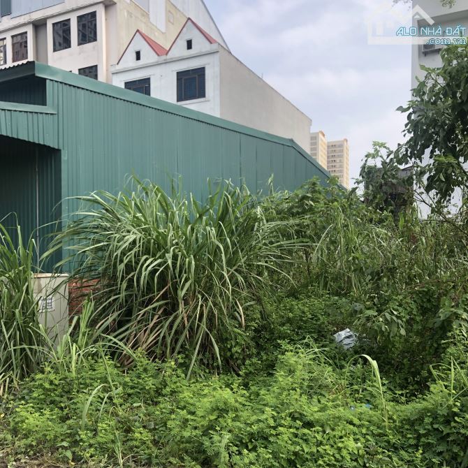 Đất liền kề Trạm Trôi sát quốc lộ 32, phân lô vỉa hè 2.5m đường 8m 100m2 mặt tiền 5m 10 tỷ - 5