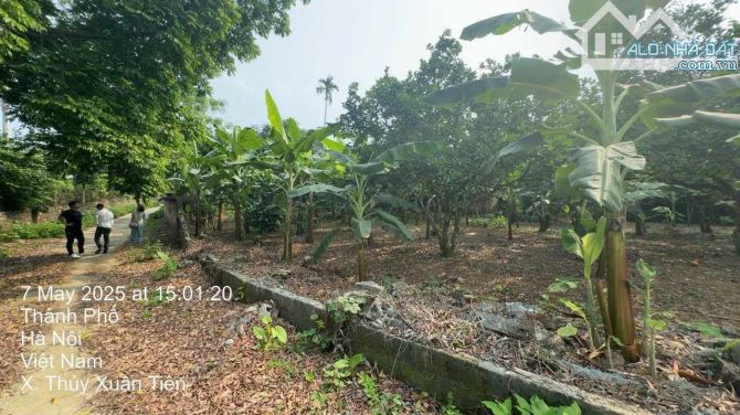 Bán 2789m2 đất thôn Xuân Sen - Chương Mỹ - Hà Nội - LÔ GÓC - MT 100M - 5,5tr/m2. - 7