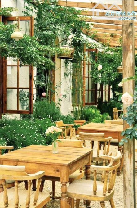 HẠ 6 TỶ BÁN QUÁN CÀ PHÊ VIEW ĐẸP MẶT TIỀN TRUNG TÂM PHƯỜNG 3 - 7