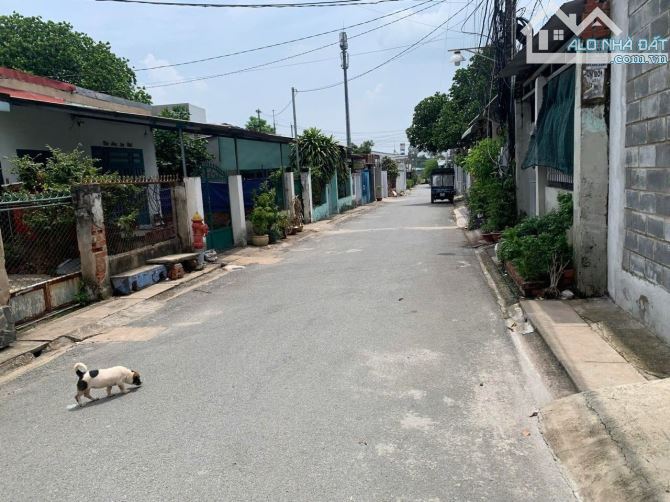 BÁN GẤP NHÀ VƯỜN RỘNG 740m² GẦN NHÀ THỜ HÀ PHÁT & CV 30/4 - Phường Tân Biên, Biên Hòa - 7