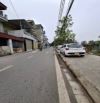 Nhà trục chính Liên Ninh, Thanh Trì DT 76m2, kinh doanh sầm uất, ô tô tránh nhau, giá 9.3