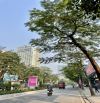 MẶT PHỐ VIP - VỈA HÈ ĐÁ BÓNG-DÒNG TIỀN 45 TR/THÁNG-KINH DOANH SẦM UẤT - DÂN XÂY - Ô CHỜ