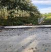 Bán đất mặt tiền đường nhựa 6m thông 2/ đường Trung Lập xã Phú Mỹ Hưng 1000m2 200m thổ