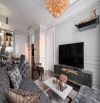 BIỆT THỰ LÀNG HOA - CÂY TRÂM -P9 , DT : 7.3m x 20m , NH 8.2m , 2 LẦU , THANG MÁY , 16.5 TY