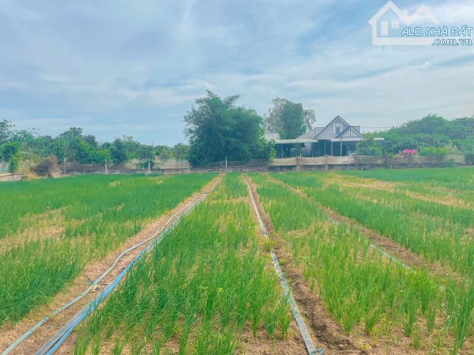 LÔ ĐẤT RẺ SIÊU HIẾM 6575M2 MT XUYÊN PHƯỚC CƠ, SẴN THỔ CƯ, CÁCH BẾN XE XUYÊN MỘC CHỈ 700M