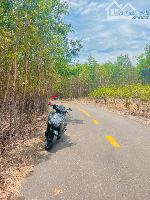 LÔ ĐẤT ĐẸP MẶT TIỀN ĐƯỜNG NHỰA, SÁT BÊN THỊ TRẤN PHƯỚC BỬU, THỔ CƯ KHỦNG, GIÁ SIÊU TỐT - 3